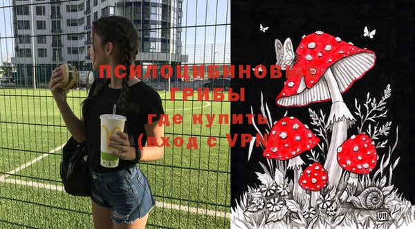 синтетический гашиш Балахна
