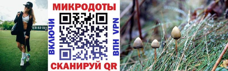 Галлюциногенные грибы Magic Shrooms  Струнино 